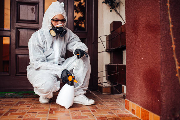 Reliable Cockroach Control contractor in Springdale, SC by Nex Pest Control